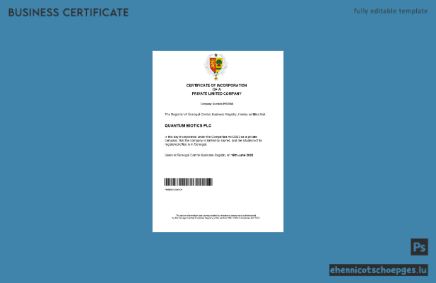 Senegaler Gewerbeanmeldung – Beispiel-Word- und PDF-Datei (Vorschau)